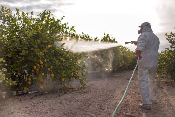 Wildlife Control Services in Santa Paula, CA