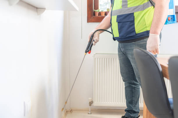 Best Emergency Pest Control  in Santa Paula, CA
